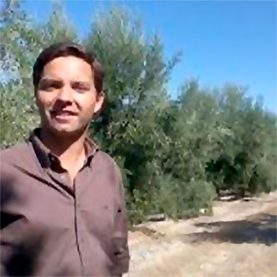 Miguel Matos Chaves
